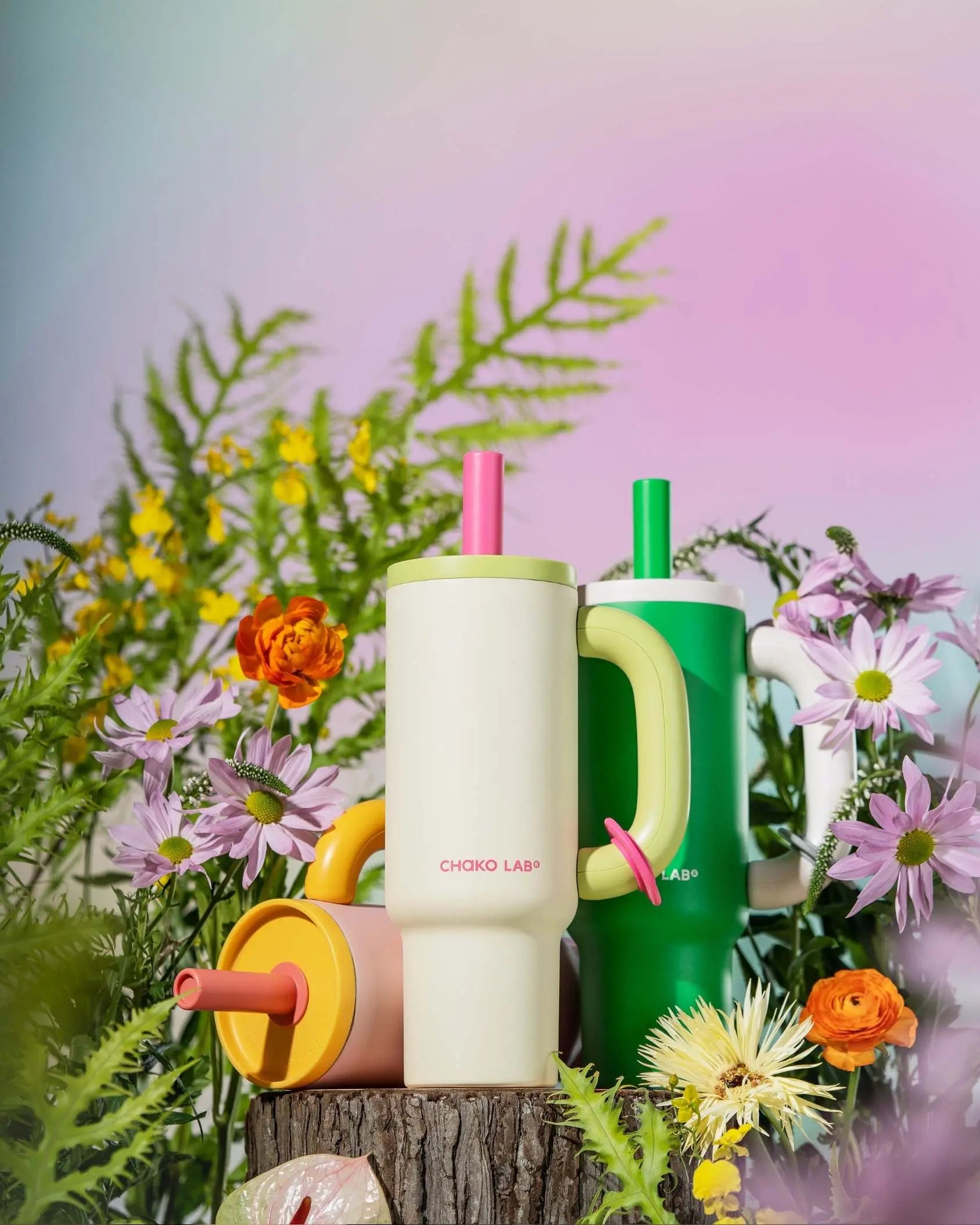 Chako Lab BaWang Cup Ceramic 1.1l