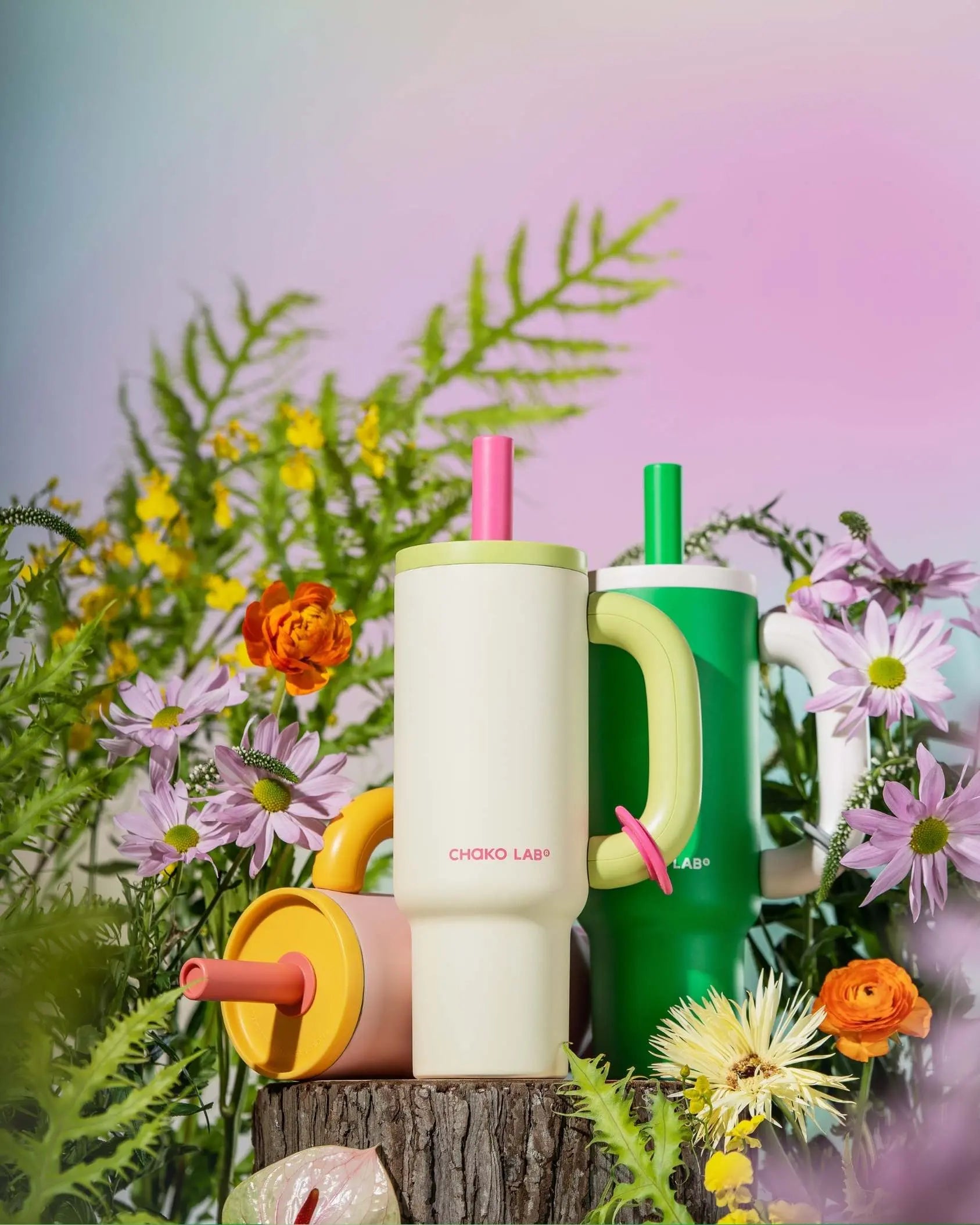 Chako Lab BaWang Cup Ceramic 1.1l