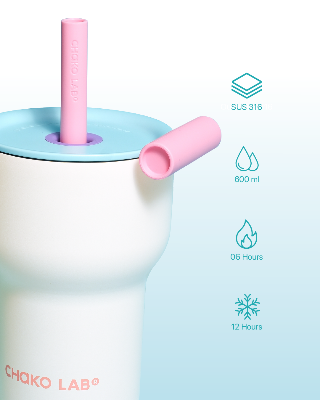 PangPang Single Layer (600ml)