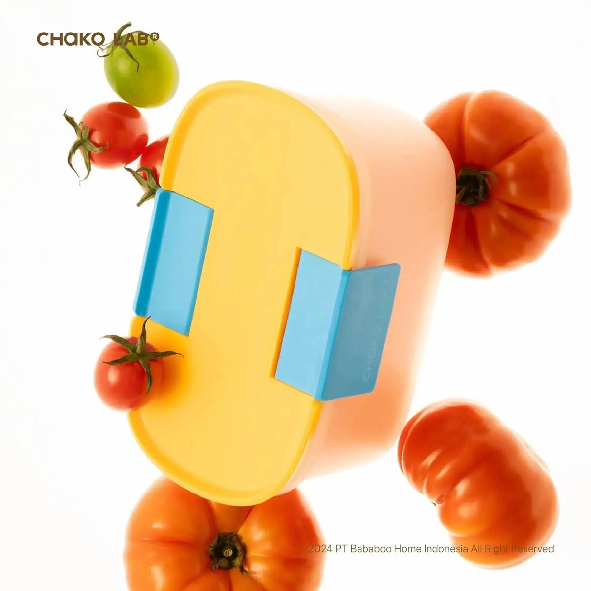 Fruit Box 600ml Chako Lab